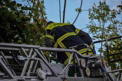 Weinstadt-Grossheppach: Baum droht umzustuerzen - Feuerwehr beseitigt Baum